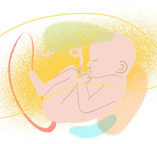 Dibujo de bebé simulando que estuviese en el utero. - solucionesbanohub.compaña - 1