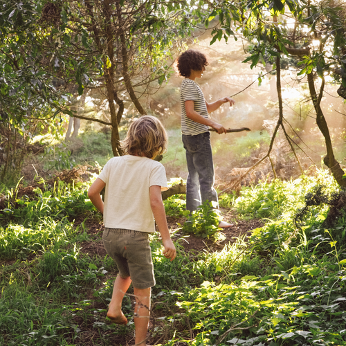 niños jugando en el bosque - solucionesbanohub.compaña - 1