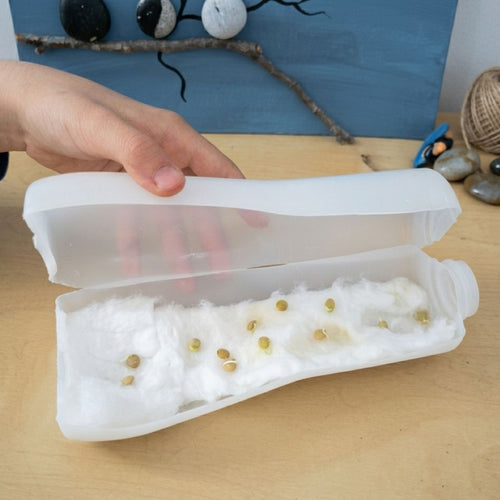 Reciclaje creativo para niños: cómo transformar un envase en una maceta - solucionesbanohub.compaña - 1